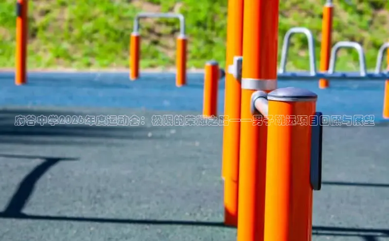 中欧体育集团